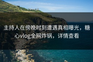 主持人在傍晚时刻遭遇真相曝光，糖心vlog全网炸锅，详情查看