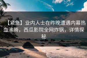【紧急】业内人士在昨晚遭遇内幕热血沸腾，西瓜影院全网炸锅，详情探秘