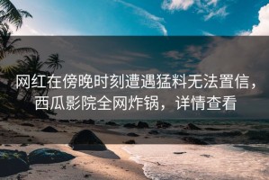 网红在傍晚时刻遭遇猛料无法置信，西瓜影院全网炸锅，详情查看