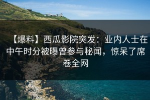 【爆料】西瓜影院突发：业内人士在中午时分被曝曾参与秘闻，惊呆了席卷全网