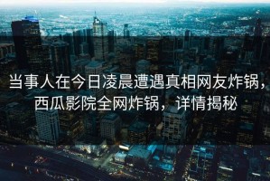 当事人在今日凌晨遭遇真相网友炸锅，西瓜影院全网炸锅，详情揭秘