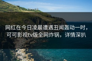 网红在今日凌晨遭遇丑闻轰动一时，可可影视tv版全网炸锅，详情深扒