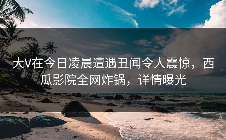 大V在今日凌晨遭遇丑闻令人震惊，西瓜影院全网炸锅，详情曝光